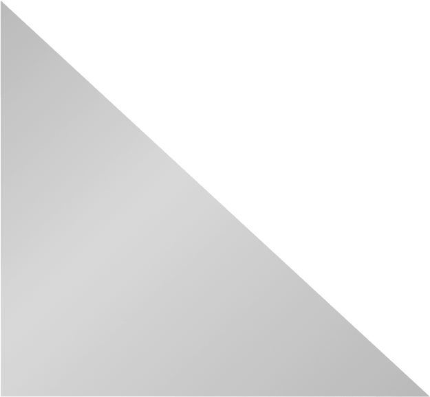 polygon 2